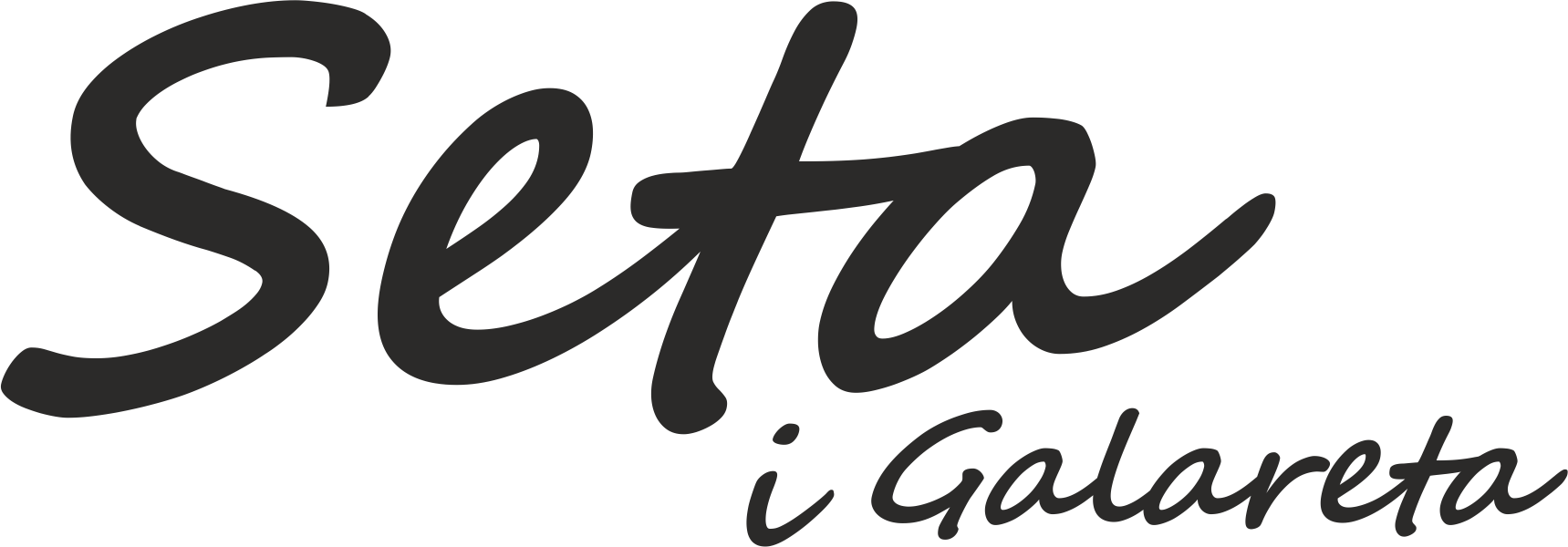 Logo Seta